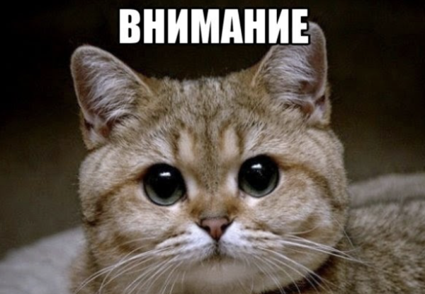 SEO-специалист отвечает на самые популярные вопросы